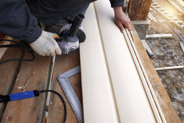 Best Siding Removal and Disposal  in Ray City, GA