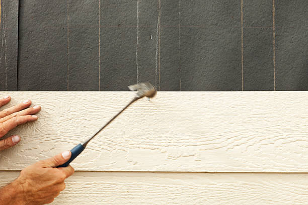 Best Engineered Wood Siding  in Ray City, GA